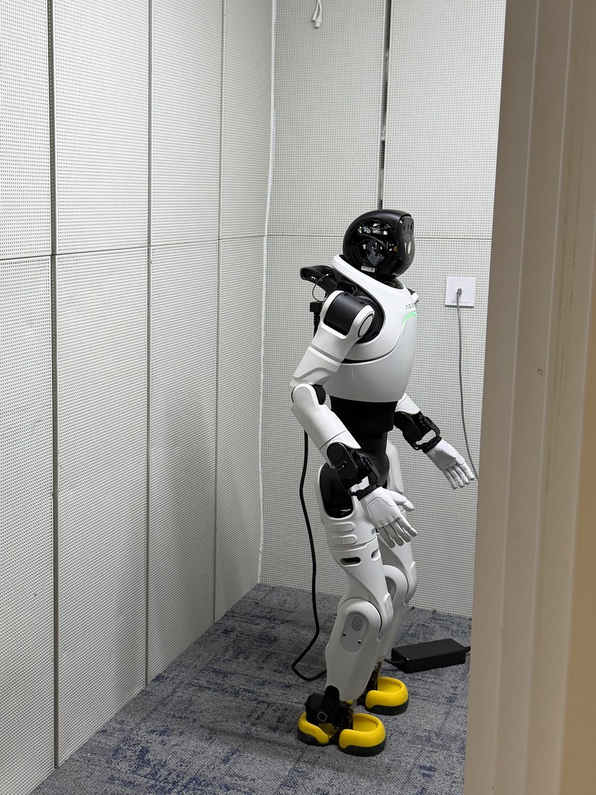 A white and black humanoid robot standing inside a small acoustic test room with panelled walls